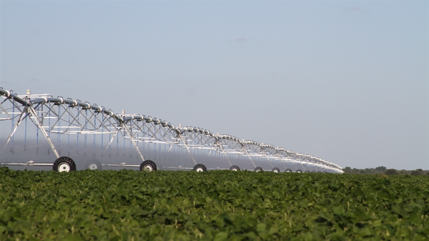 Maior pivô central do mundo irriga sozinho 463 hectares no Oeste da Bahia